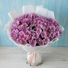 Букет цветов из:  Хризантемы в Балтийске