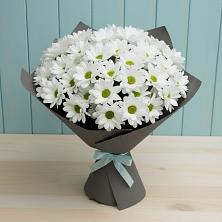 Букет цветов из:  Хризантемы в Балтийске