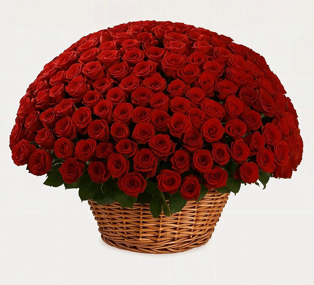 Премиум букет из: Розы в Балтийске