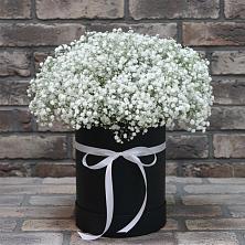 Цветочная композиция из Гипсофила в шляпной коробке в Балтийске