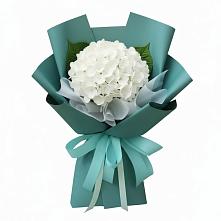 Букет цветов из:  Гортензия #REPLACE_PRED# Балтийске
